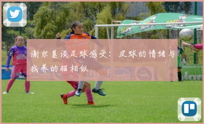 谢尔基谈足球感受：皮球的情绪与我养的猫相似