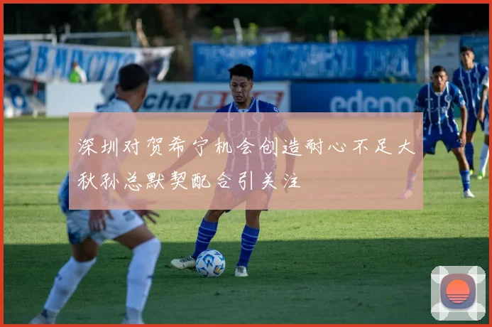 深圳对贺希宁机会创造耐心不足大秋孙总默契配合引关注